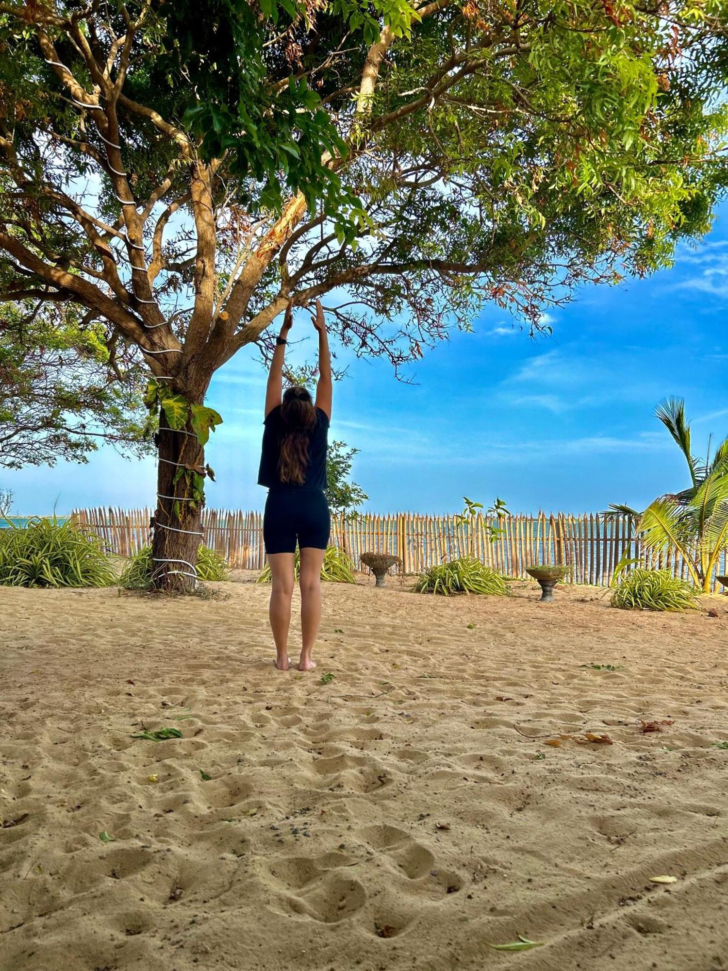 Arasi Resort คัลพิทิยา ภายนอก รูปภาพ
