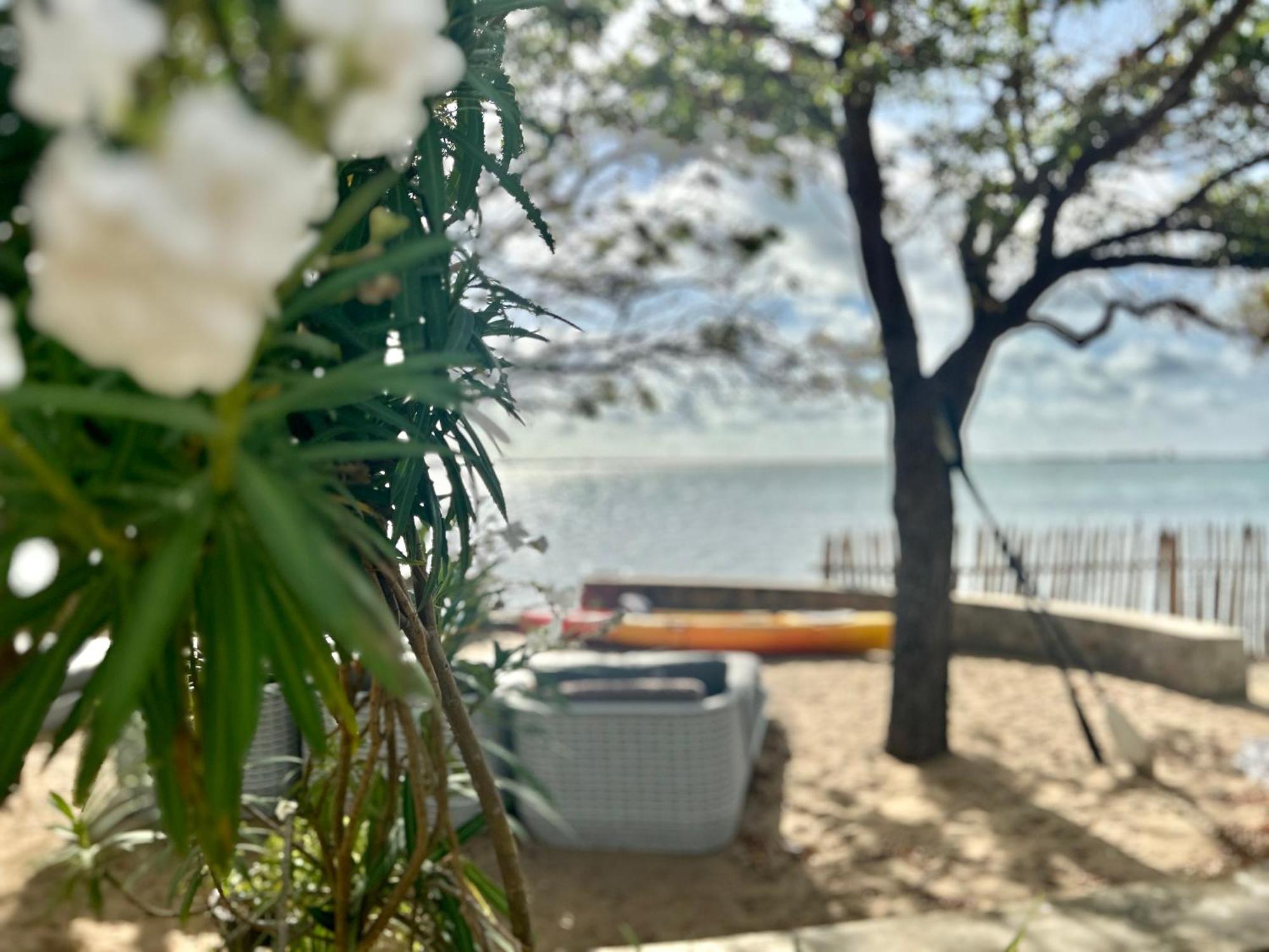 Arasi Resort คัลพิทิยา ภายนอก รูปภาพ